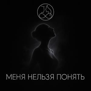 Меня Нельзя Понять