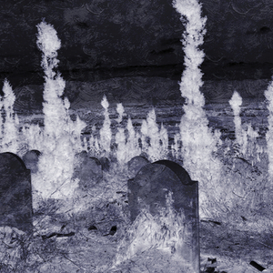 来自坟头的思念