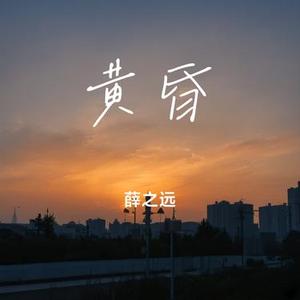 黄昏（薛之远 Remix）