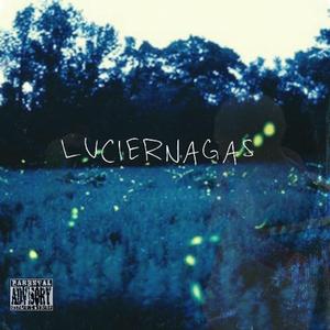 Luciernagas