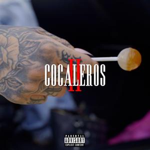 COCALEROS 2