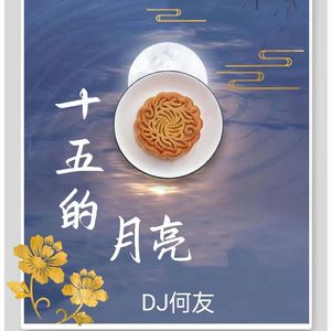 龚玥 - 十五的月亮（DJ何友版）
