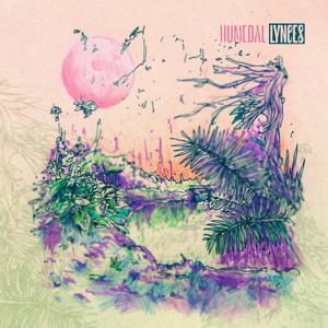 Humedal