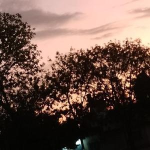 Ilusionari (Acoustic)