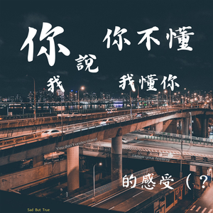 你说你不懂我说我懂你的感受
