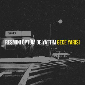 Resmini Öptüm De Yattım
