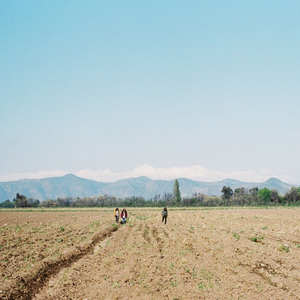 Sunday Floating Mood