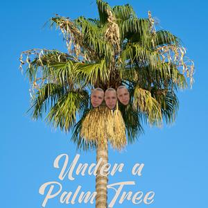 Under a Palm Tree