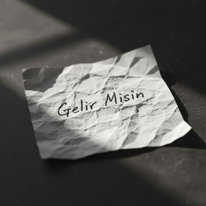 Gelir Misin