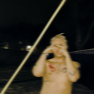 Hornets & Butterflies