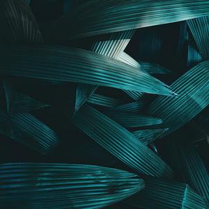 Way 2 Sexy (Sped Up)