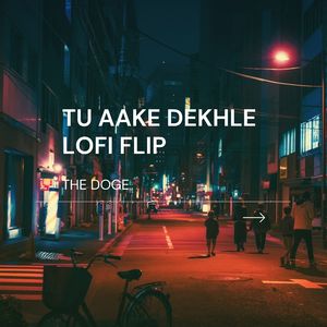 Tu Aake Dekhle (Lofi Flip)