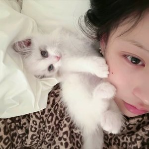 等待心疼我的眼睛