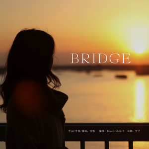 Bridge（桥）