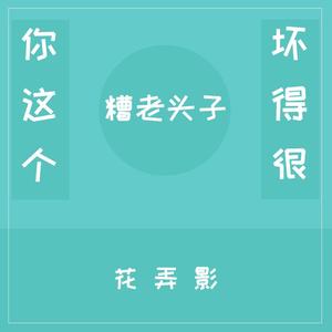 你这个糟老头子坏得很