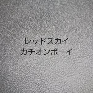 レッドスカイ