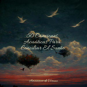 Ascenso Majestuoso en Silencio