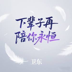下辈子再陪你永恒