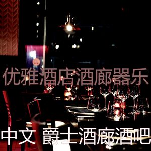 柔和的酒吧酒店时刻