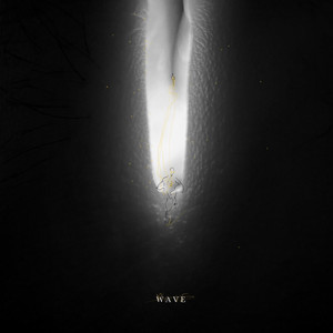 模糊之前 (Unplugged Version)