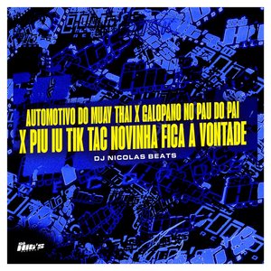 Automotivo do Muay Thai X Galopano no Pau do Pai X Piu Iu Tik Tac Novinha Fica a Vontade