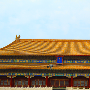 故宫：色彩·落日·飞鸟