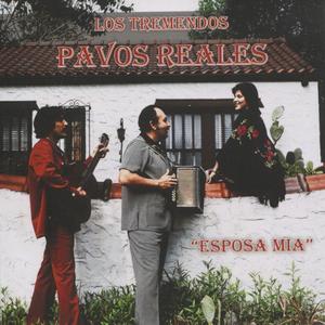 Las Gaviotas
