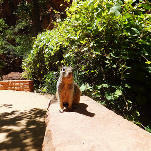 優しい言葉をありがとう