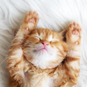 心里（翻自 潘澈）