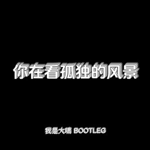 你在看孤独的风景（我是大啸 remix）