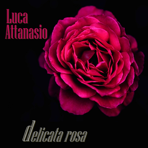 Arancione (Energia moderata)