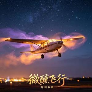 微醺飞行