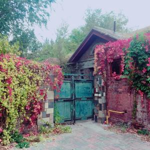 写给一千年前某位女性的歌