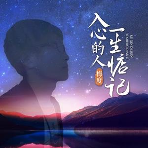 入心的人一生惦记