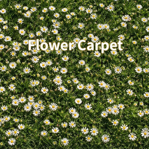 お花のじゅうたん