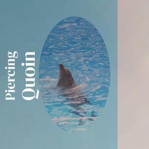 Sleepover Transformations