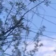 倾尽年华终是梦