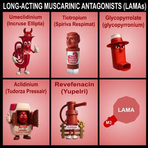 Long-Acting Muscarinic Antagonists (Chipmunk Soul Version)