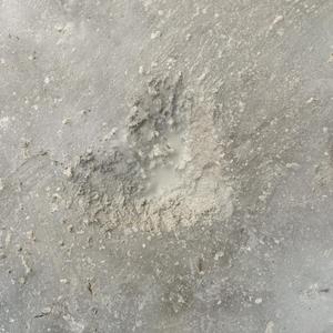 漠河舞厅（原唱：柳爽）