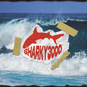 surferzy śpią