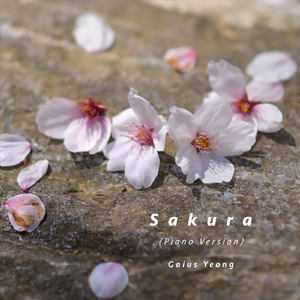 Sakura (Piano Version)