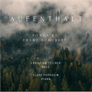 Am Bach im Frühling, D. 361