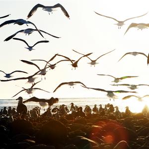 Try Together (Radio Edit)