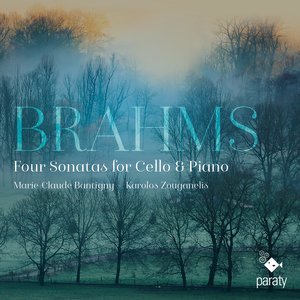 Sonata in G Major, Op. 78 (Version for Cello and Piano in D Major): III. Allegro molto moderato