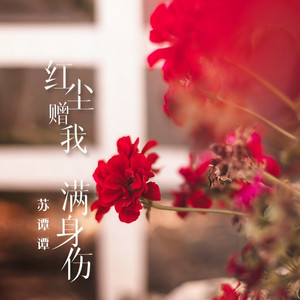 红尘赠我满身伤(DJ版)