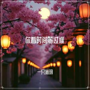 你看时间等过谁