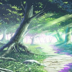 白噪音森林鸟叫声（减压）