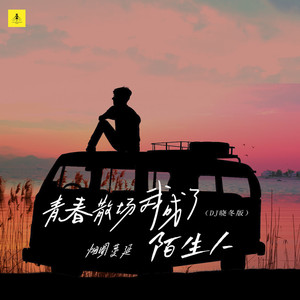 青春散场我成了陌生人 (DJ晓冬版)