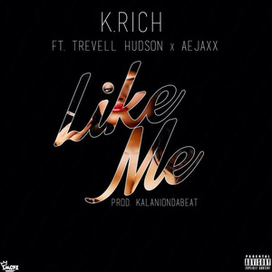 Like Me (feat. Trevell Hudson & Aejaxx)