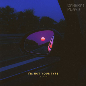 I'm Not Your Type